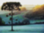 O inverno está chegando e as temperaturas já andam bem baixas por aqui. - imagem clínica